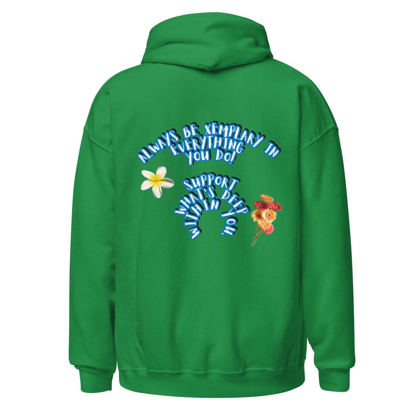Do X-emplary tings hoodie