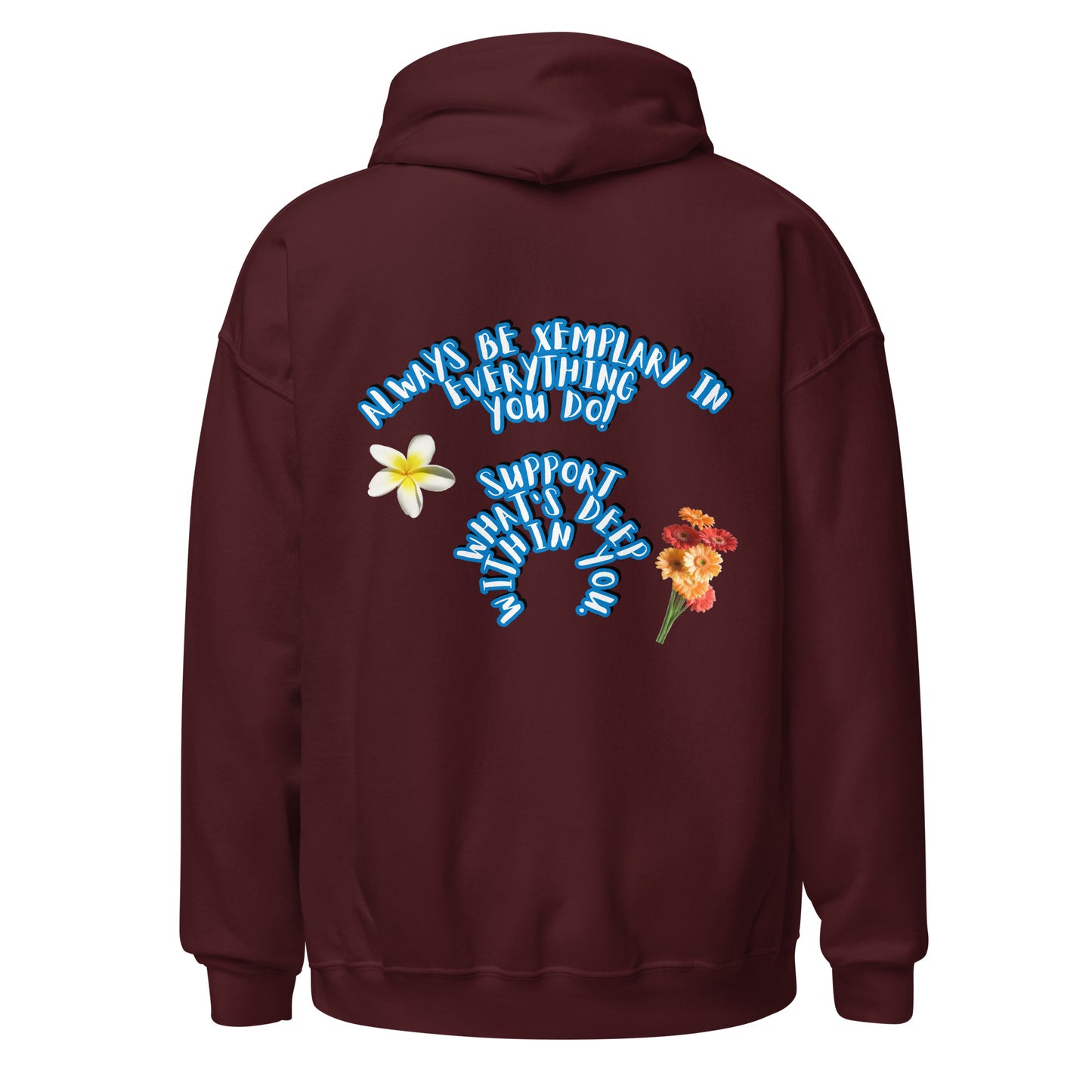 Do X-emplary tings hoodie