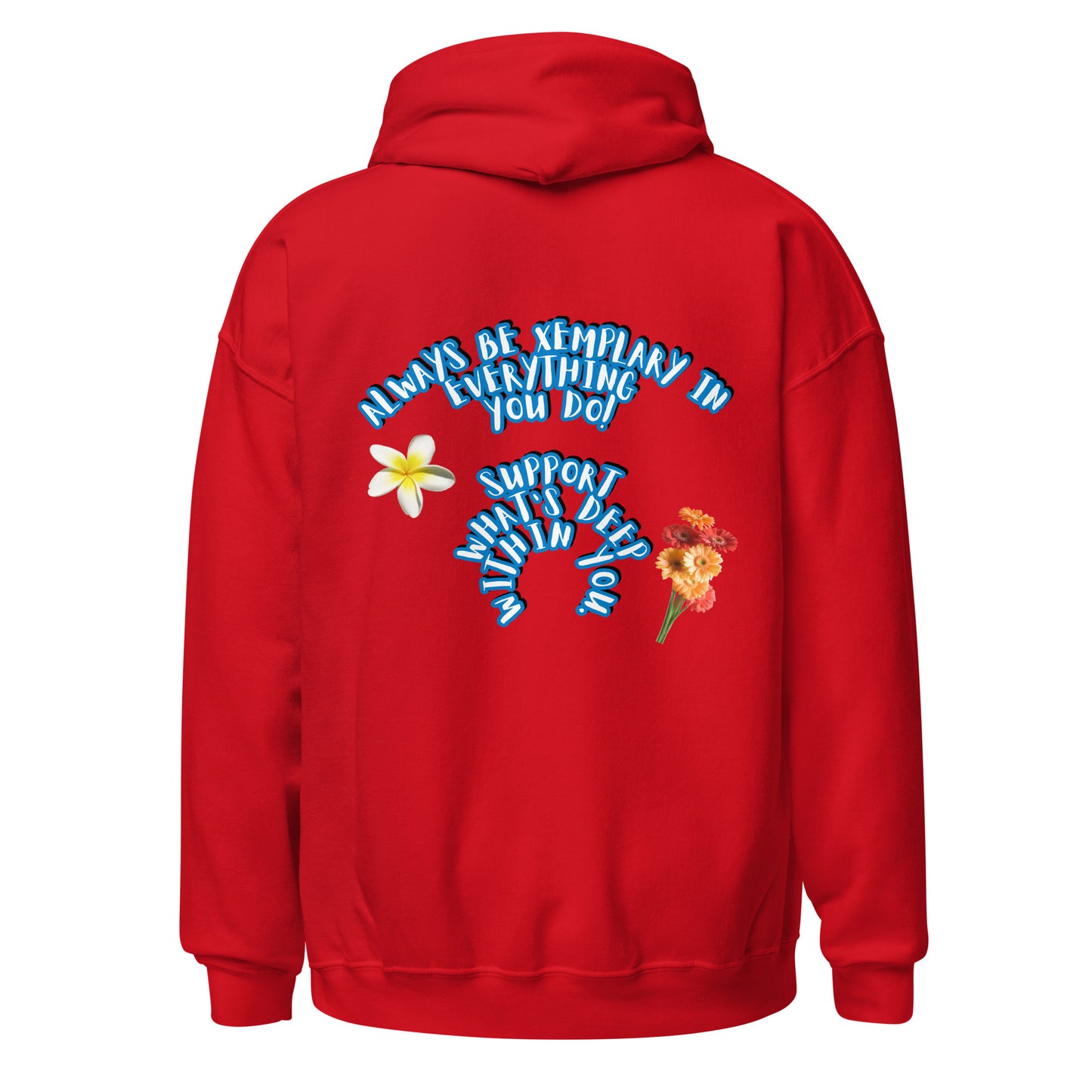 Do X-emplary tings hoodie