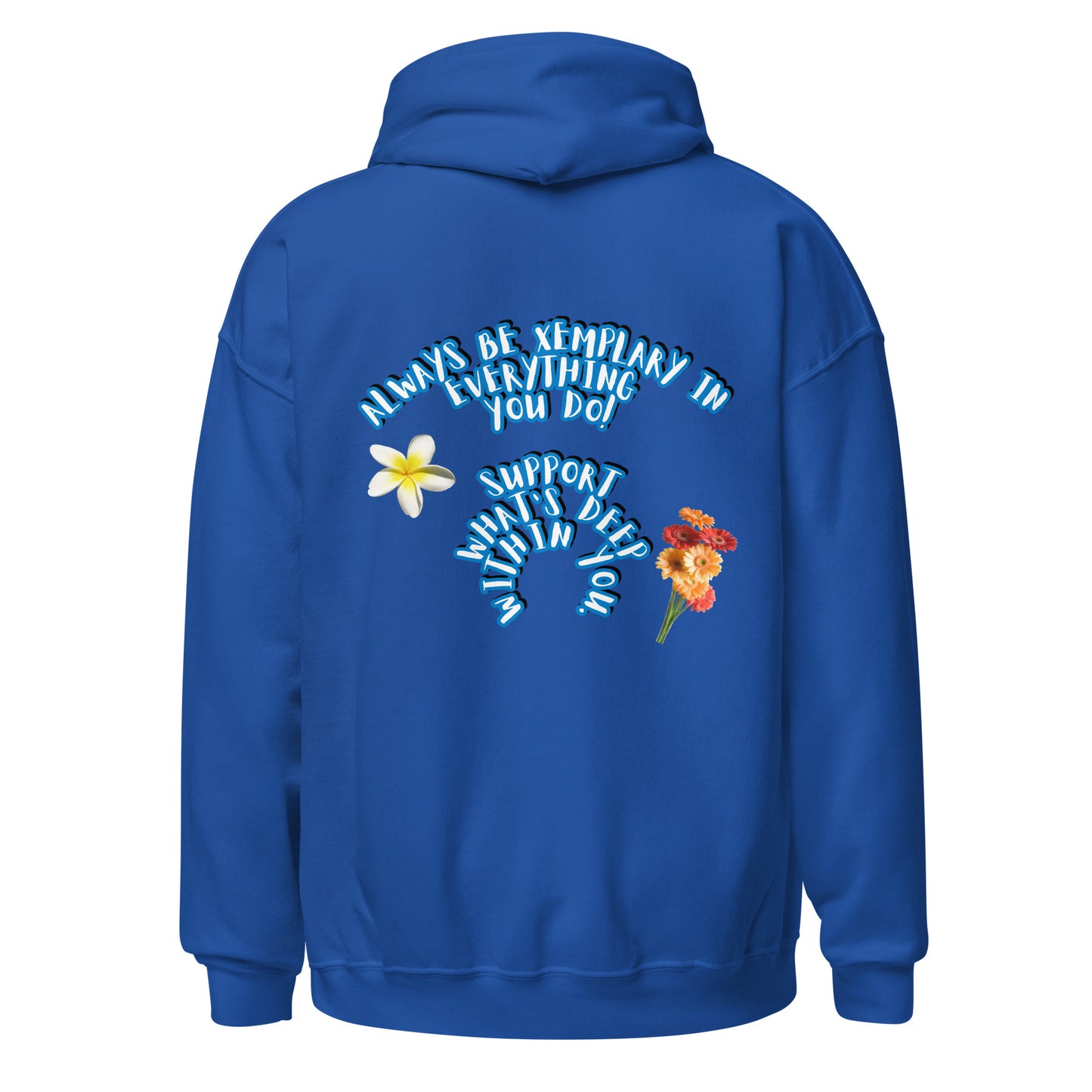 Do X-emplary tings hoodie
