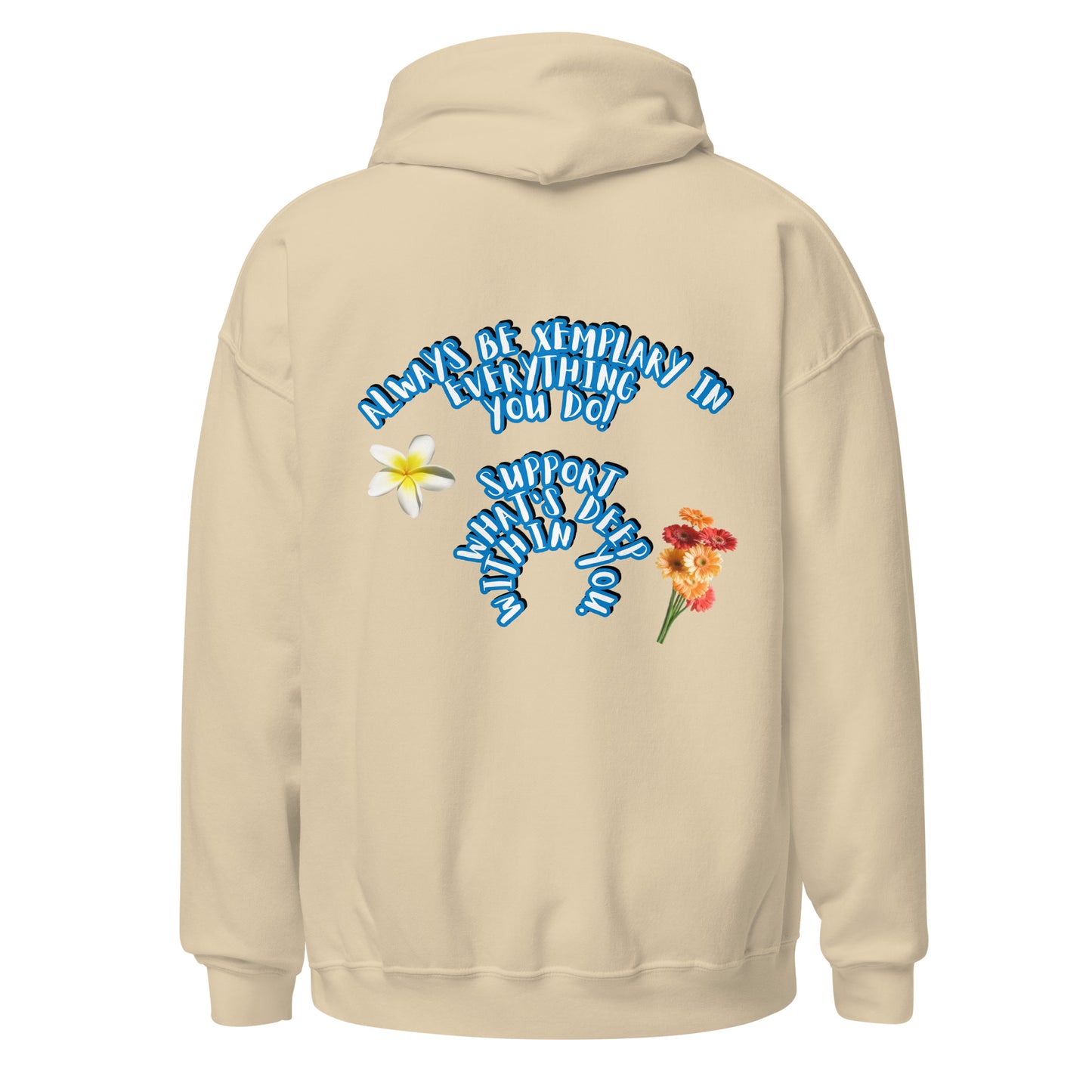 Do X-emplary tings hoodie