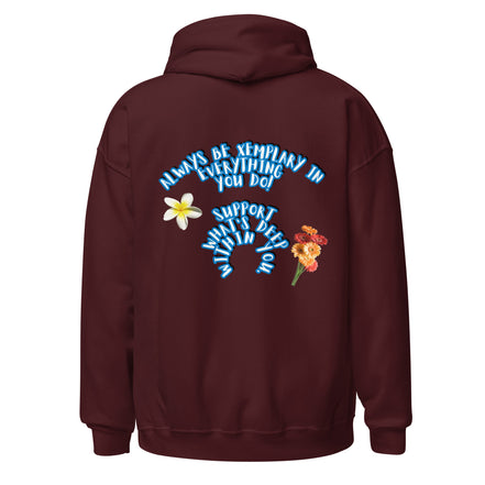 Do X-emplary tings hoodie