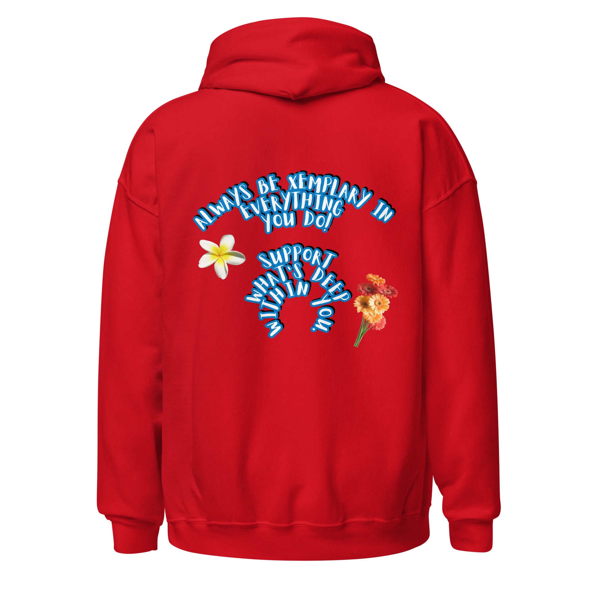 Do X-emplary tings hoodie